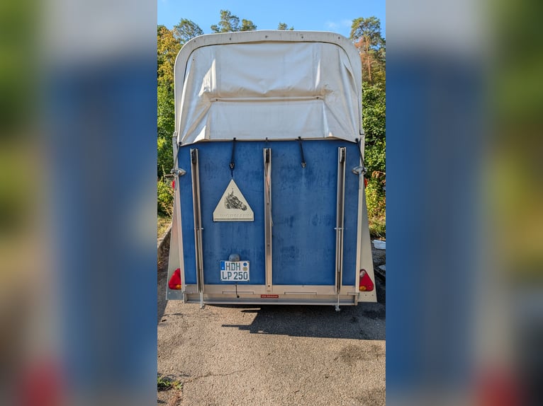 WM Meyer Memphis Pferdeanhänger (2er) | Alu-Boden | TÜV 12/26