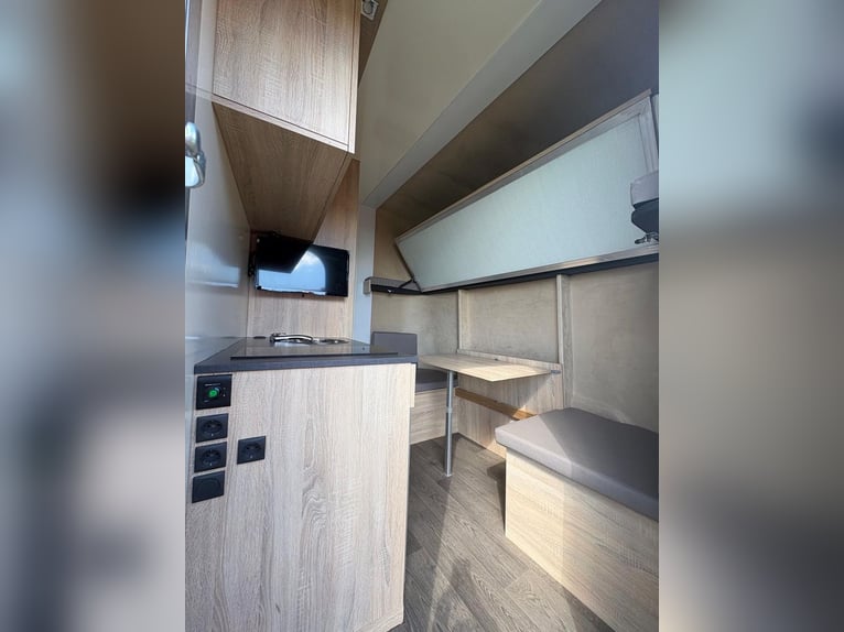 ANKA Steinsberger Anhänger 3-Pferde Dusche TV Stockbetten Sitzgruppe LKW