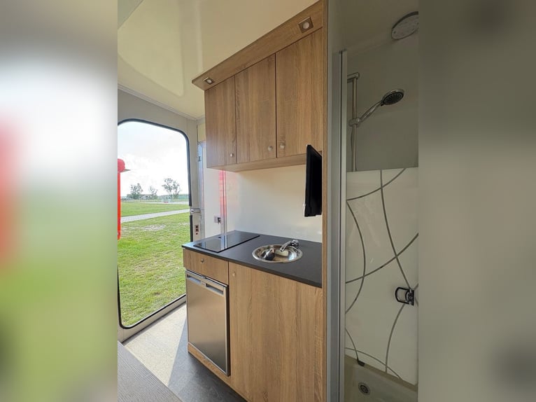 ANKA Steinsberger Anhänger 3-Pferde Dusche TV Stockbetten Sitzgruppe LKW