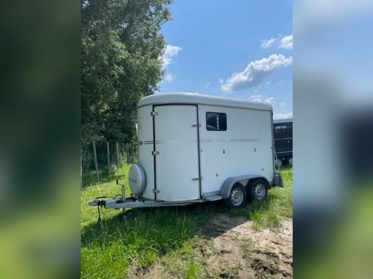 Fautras Oblic Transportgurt, gerade