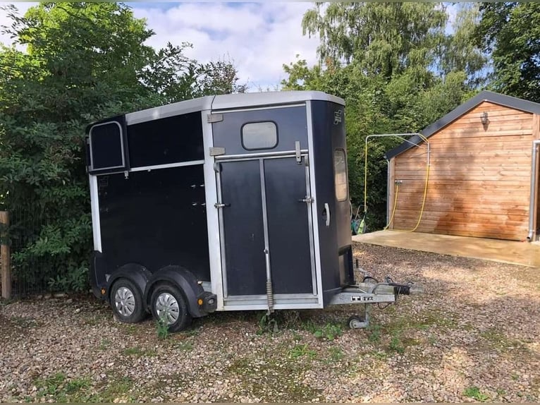 Ifor Williams  2 chevaux 