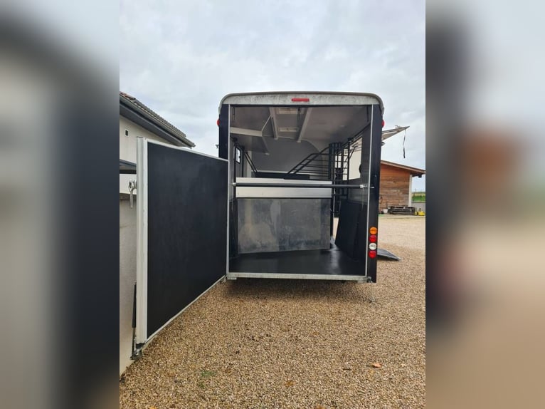 Pferd Cheval Liberté MINIMAX