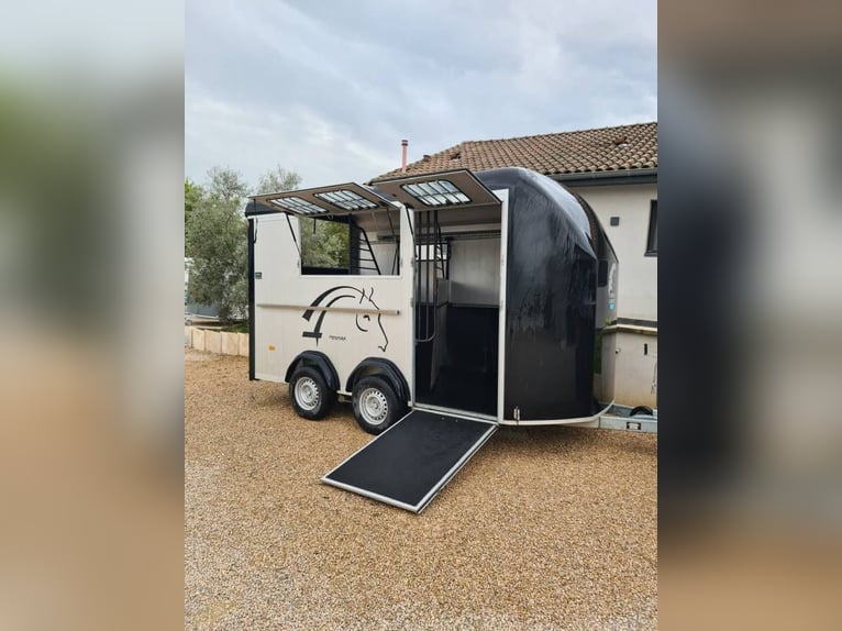 Pferd Cheval Liberté MINIMAX