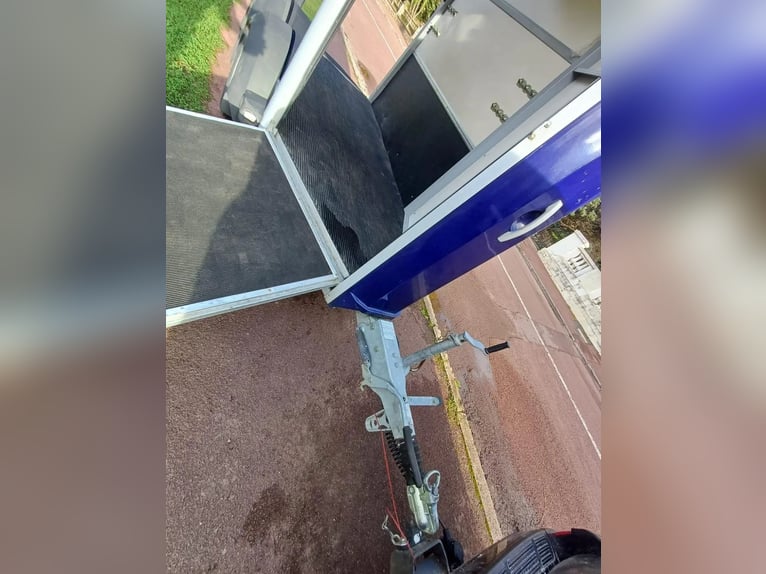 Pferdeanhänger Ifor Williams HB 403