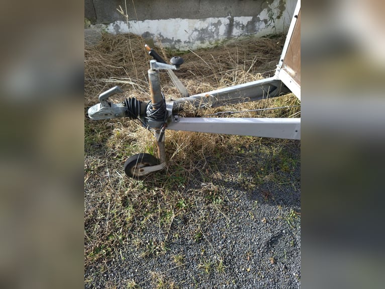 2 er Pferdeanhänger Böckmann
