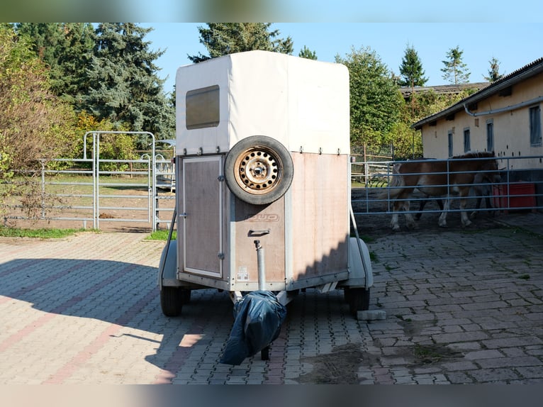 2er Böckmann Pferdeanhänger