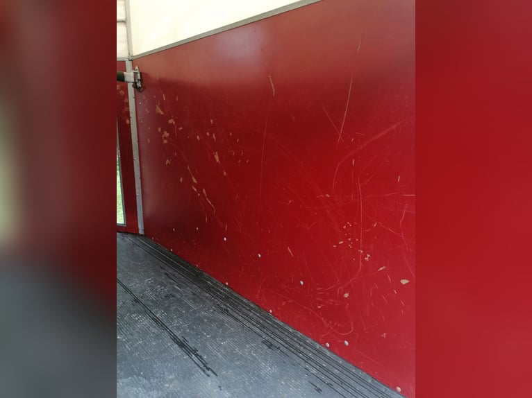 Anhänger Böckmann, 1,5 Pferde, gebraucht, guter Zustand, TÜV neu