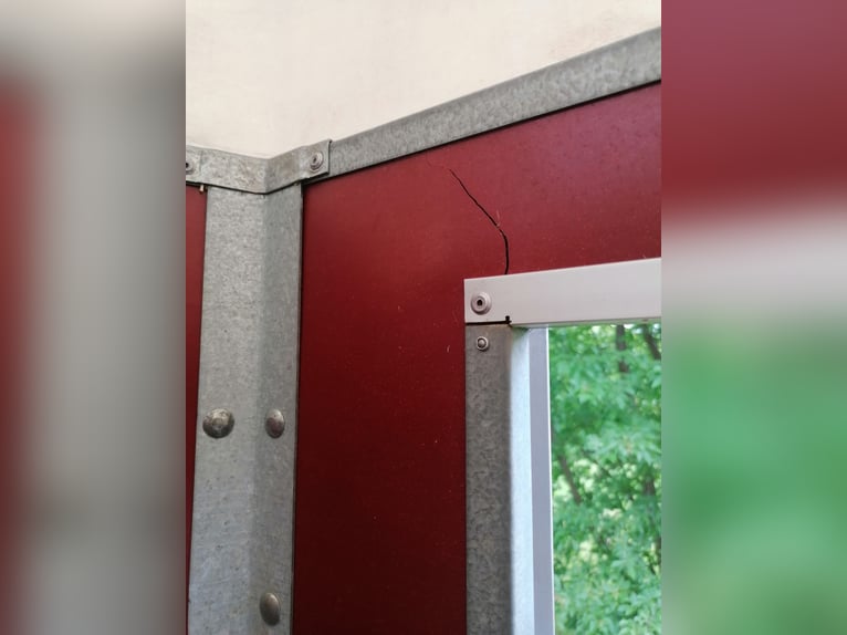 Anhänger Böckmann, 1,5 Pferde, gebraucht, guter Zustand, TÜV neu