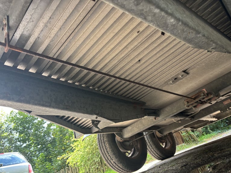 Böckmann Champion Duo Pferdeanhänger