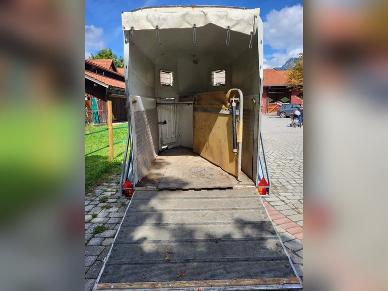 Böckmann Classic Pferdeanhänger sucht neuen Besitzer!