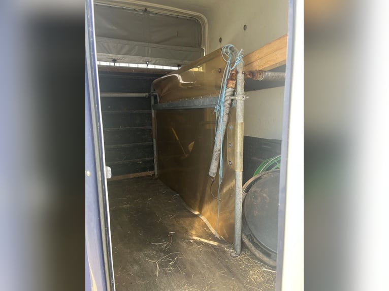 Boeckmann Comfort de Luxe für 2 Pferde