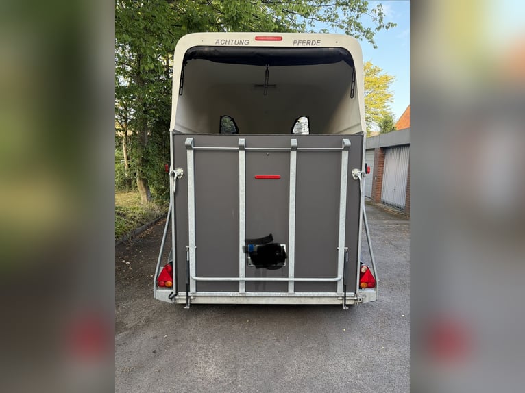 Cheval Liberté Gold Top Zustand