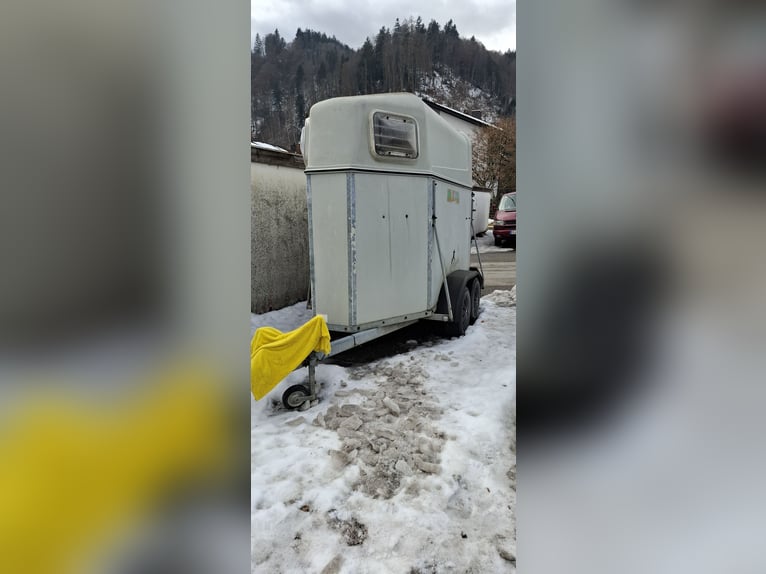 Guter 1,5er Pferdeanhänger