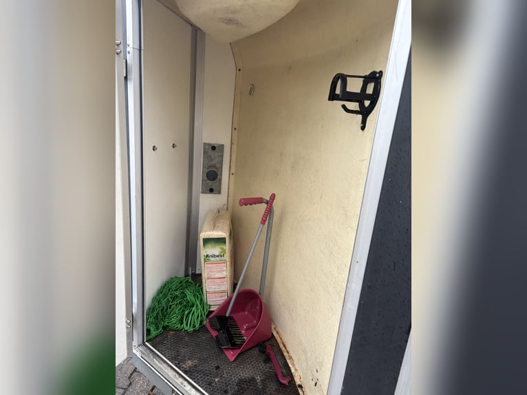 Humbaur Straße 1,5 Pferdeanhänger