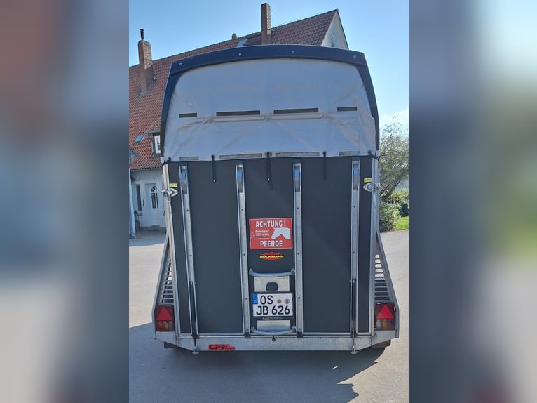 Pferdeanhänger Böckmann Duo R / Aluboden