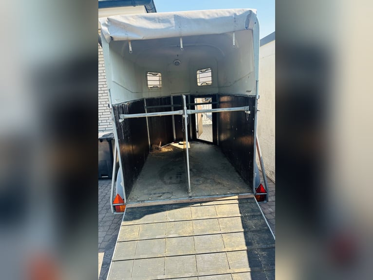 Pferdeanhänger Böckmann für den Transport von zwei Pferden