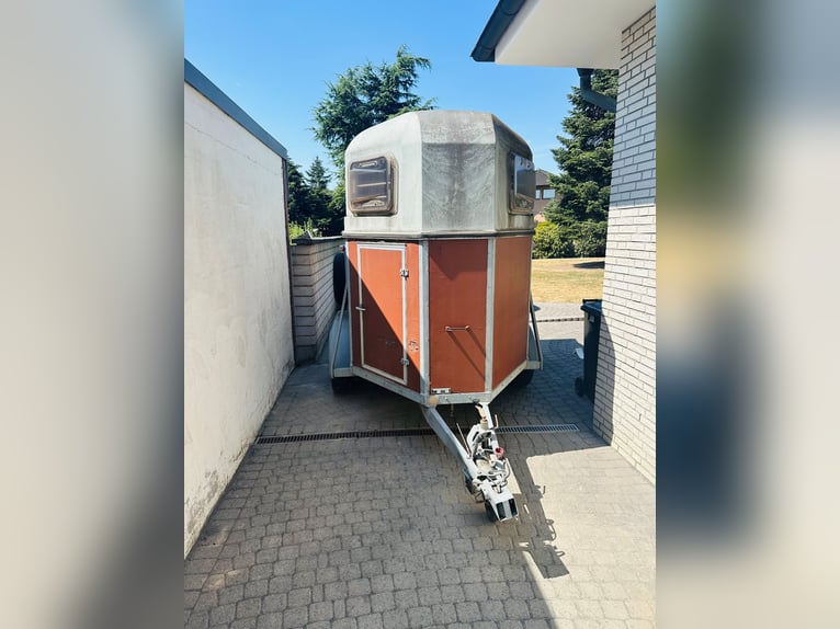 Pferdeanhänger Böckmann für den Transport von zwei Pferden