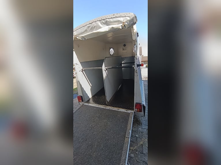 Top-gepflegter Westfalia Doppel-Pferdeanhänger – Komplett überholt & TÜV neu