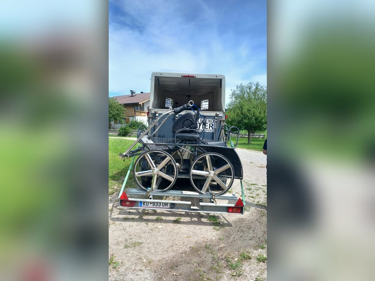 Pferdeanhänger mit Kutschenaufsatz hinten