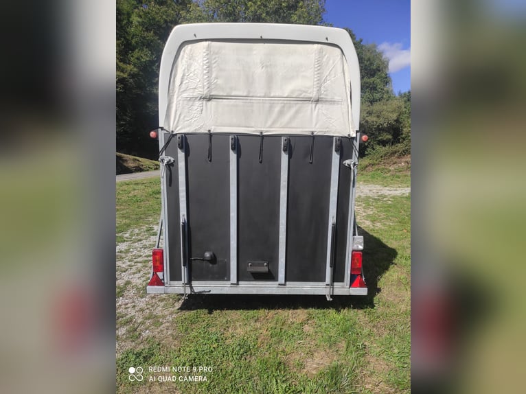 Van chevaux 2 places XL tres bon etat