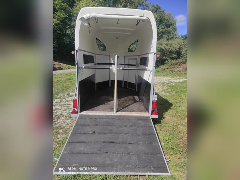 Van chevaux 2 places XL tres bon etat
