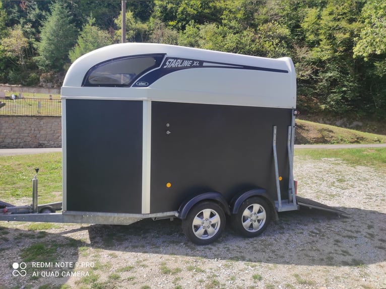 Van chevaux 2 places XL tres bon etat