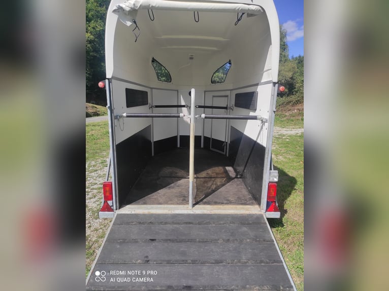 Van chevaux 2 places XL tres bon etat