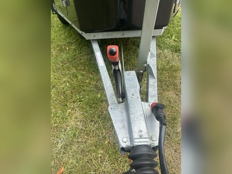 ANSSEMS Pferdeanhänger D20 | EZ 03/2024 | 2.000 kg Vollpoly