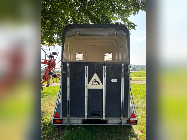 Blomert / Wörmann 2er Pferdeanhänger Vollpoly
