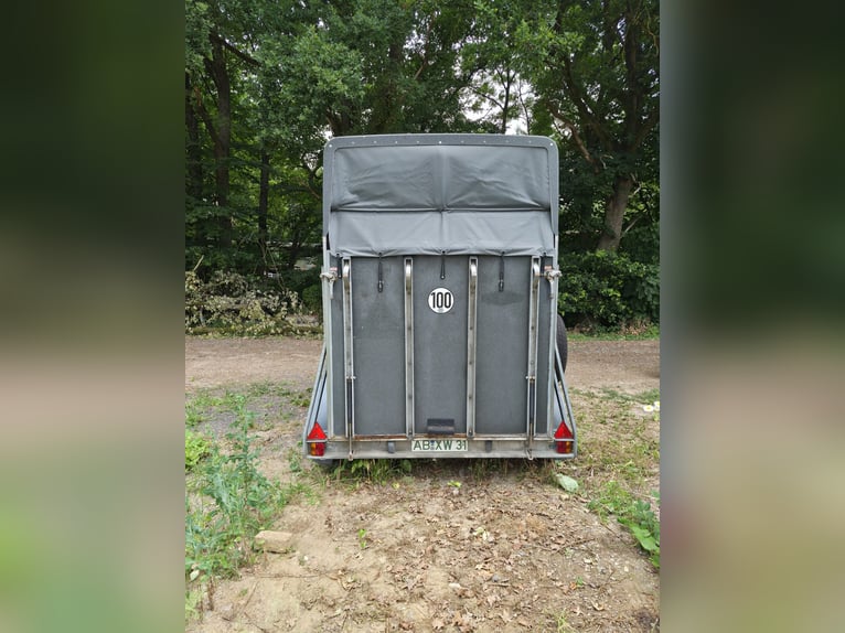 Böckmann Genius CS2 Pferdeanhänger / Vollpoly / Sattelkammer