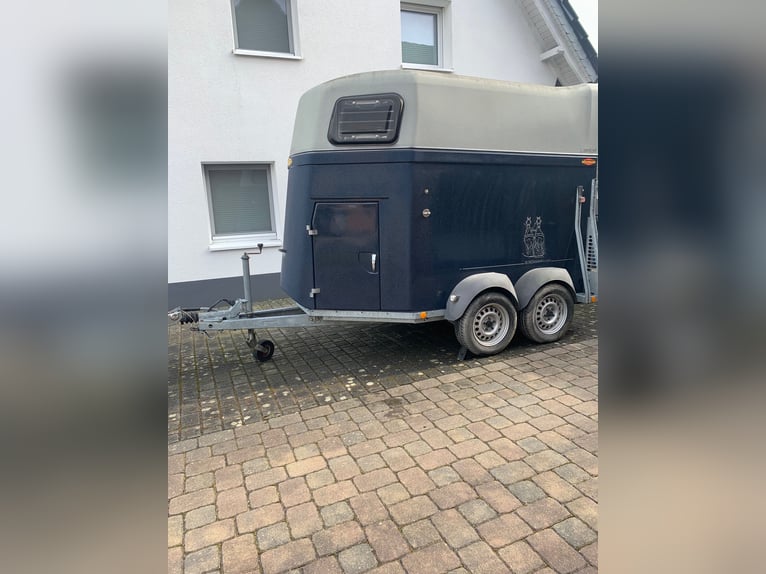 Böckmann Pferdeanhänger aus Vollpoly mit Aluboden