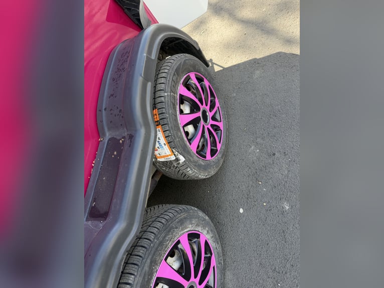 Pferdeanhänger Thiel Domino