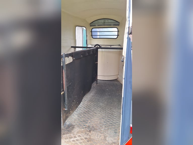 Pferdeanhänger Westfalia