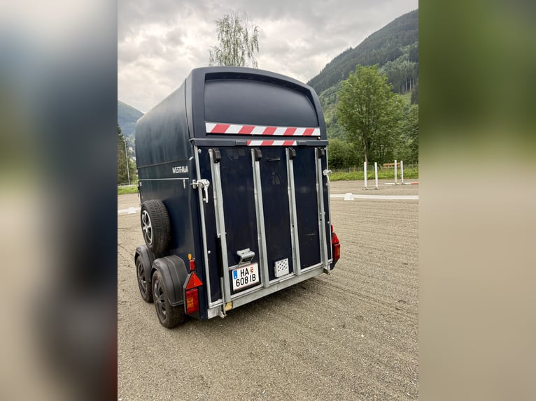 Top Westfalia Jupiter 2-Pferdeanhänger - Generalüberholt, NEUER Boden & Pickerl bis 04/27!