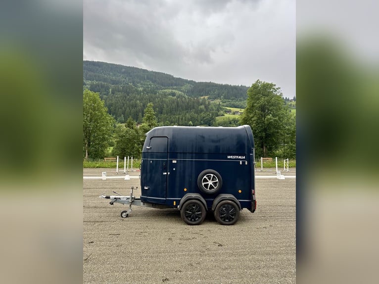 Top Westfalia Jupiter 2-Pferdeanhänger - Generalüberholt, NEUER Boden & Pickerl bis 04/27!