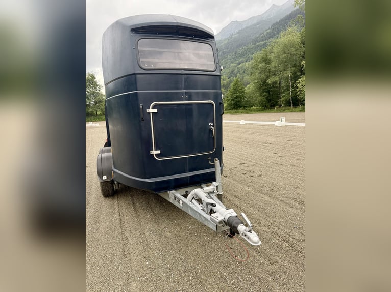 Top Westfalia Jupiter 2-Pferdeanhänger - Generalüberholt, NEUER Boden & Pickerl bis 04/27!