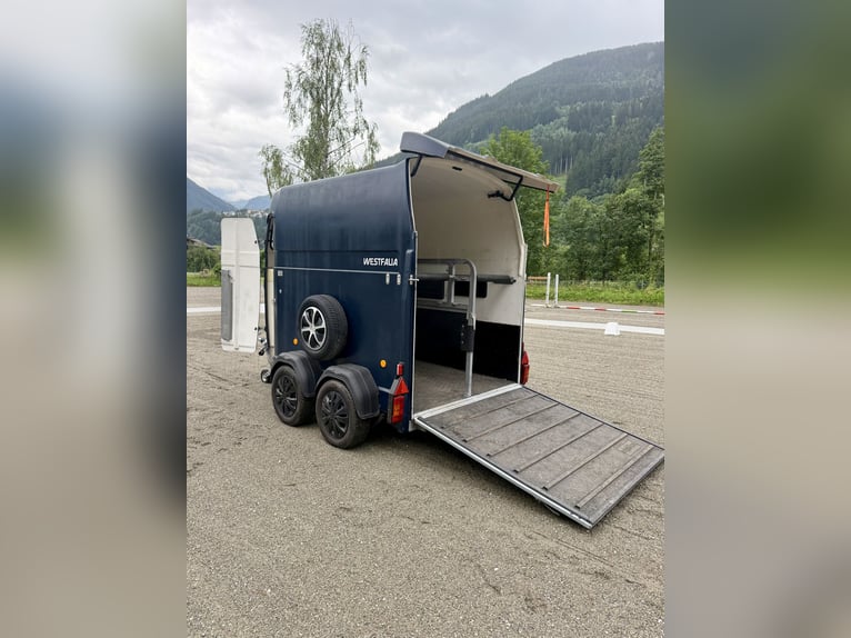 Top Westfalia Jupiter 2-Pferdeanhänger - Generalüberholt, NEUER Boden & Pickerl bis 04/27!