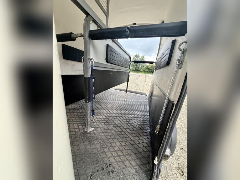 Top Westfalia Jupiter 2-Pferdeanhänger - Generalüberholt, NEUER Boden & Pickerl bis 04/27!