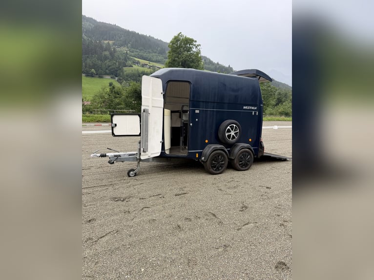 Top Westfalia Jupiter 2-Pferdeanhänger - Generalüberholt, NEUER Boden & Pickerl bis 04/27!