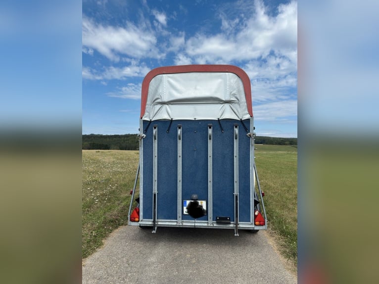Wörmann Apollo Exit