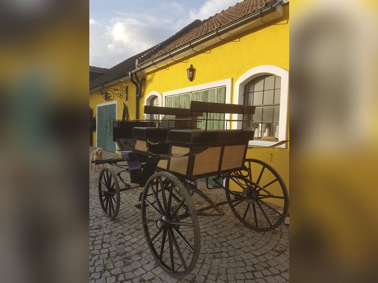 Dressurwagen Modell Esterhazy