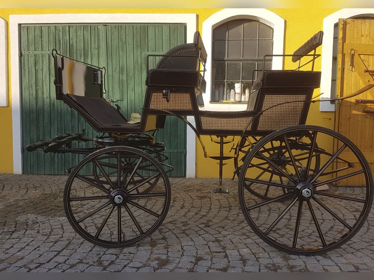 Dressurwagen Modell Esterhazy
