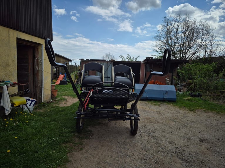 Kutsche, Marathonkutsche, Fahrschulwagen , Ponykutsche, Pferdekutsche