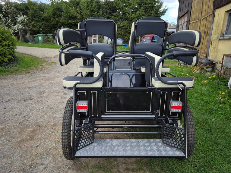 Kutsche, Marathonkutsche, Fahrschulwagen , Ponykutsche, Pferdekutsche