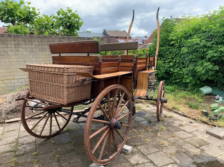 3 koetsen te koop: jacht koets, Marathon wagen & een sjees.