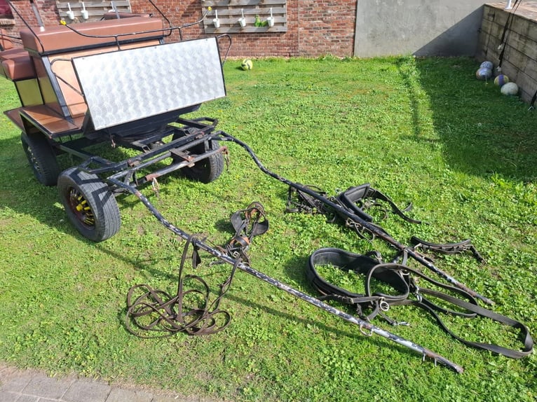 Kutsche mit Zügeln und sämtlichem dazugehörigem Zubehör