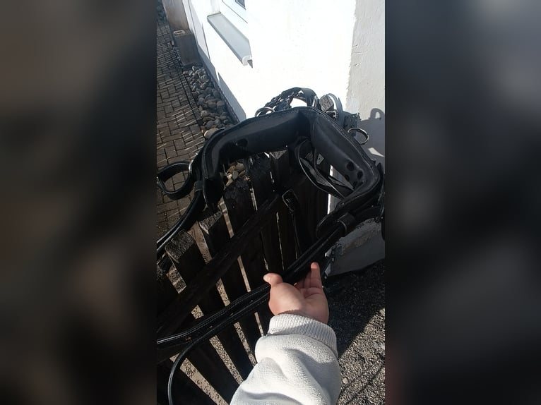 Ponygeschirr / Brustblattgeschirr inkl. Kopfstück, Fahrgeschirr Einspänner