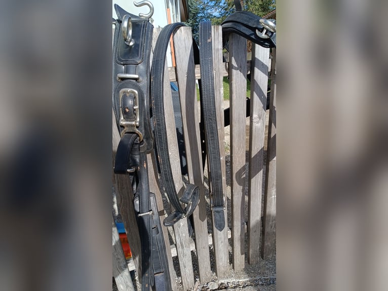 Ponygeschirr / Brustblattgeschirr inkl. Kopfstück, Fahrgeschirr Einspänner