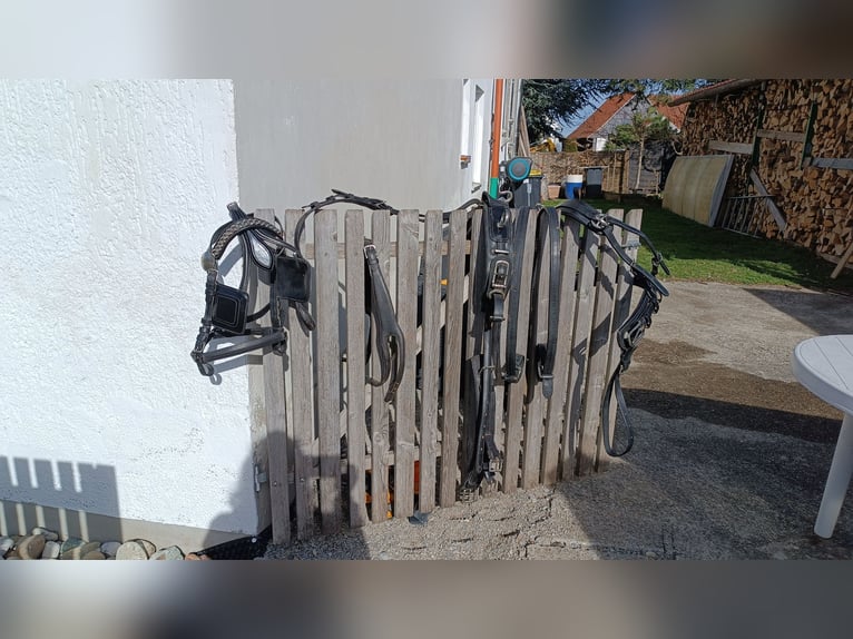 Ponygeschirr / Brustblattgeschirr inkl. Kopfstück, Fahrgeschirr Einspänner