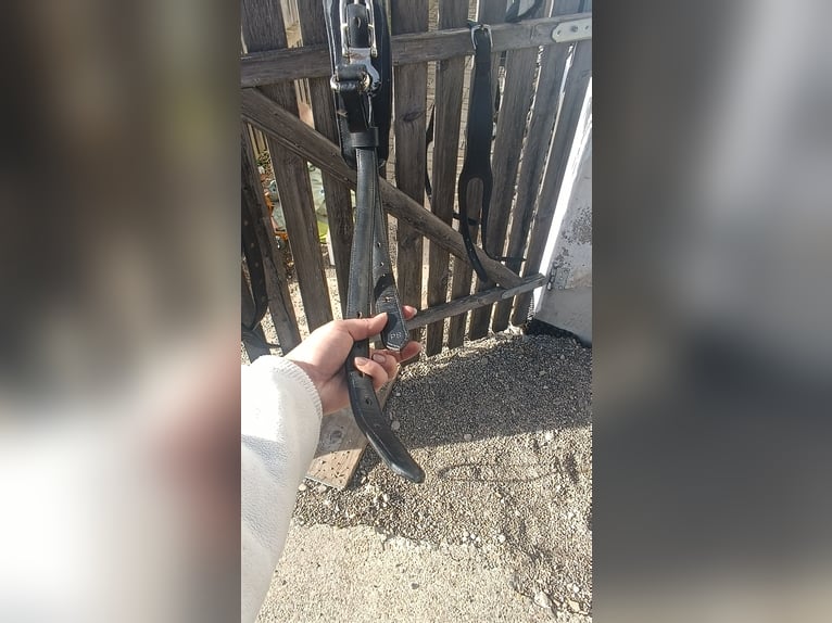 Ponygeschirr / Brustblattgeschirr inkl. Kopfstück, Fahrgeschirr Einspänner